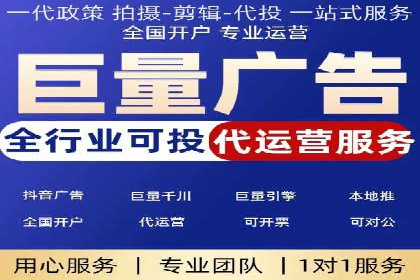 某知名企业SEM营销全案解析
